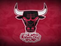 开云体育直播-冰封王座，辽宁铁血防线与东契奇的防守艺术