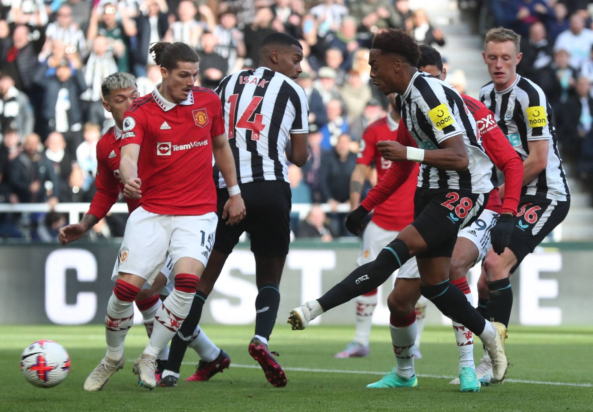 包含纽卡斯尔反击成功，重新振作的词条