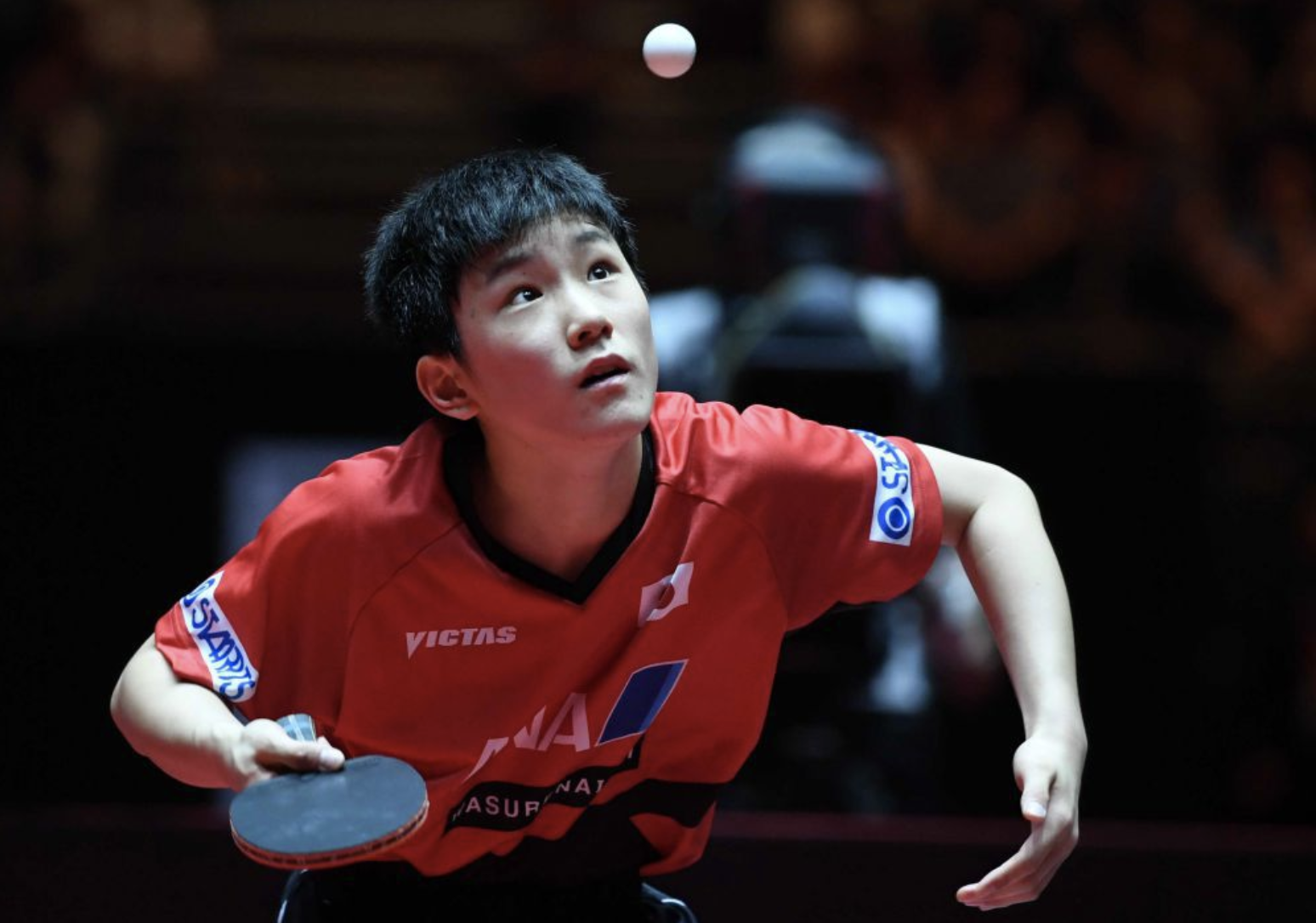 关于奥地利乒乓球队翻盘英国乒乓球队，水谷隼惊艳世界的信息