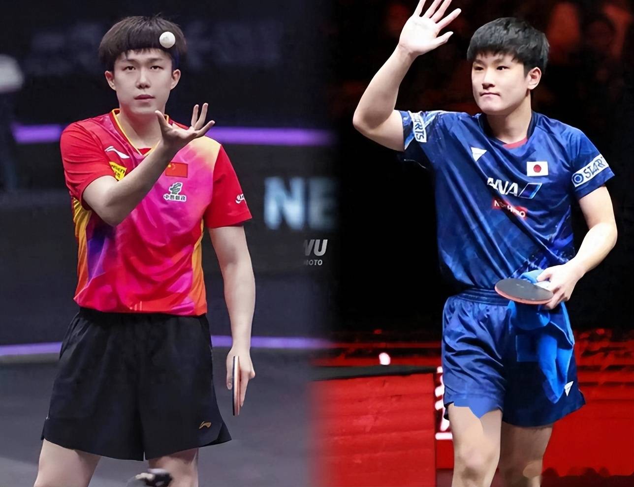 关于法国队横扫瑞典队，张本智和惊艳四座的信息